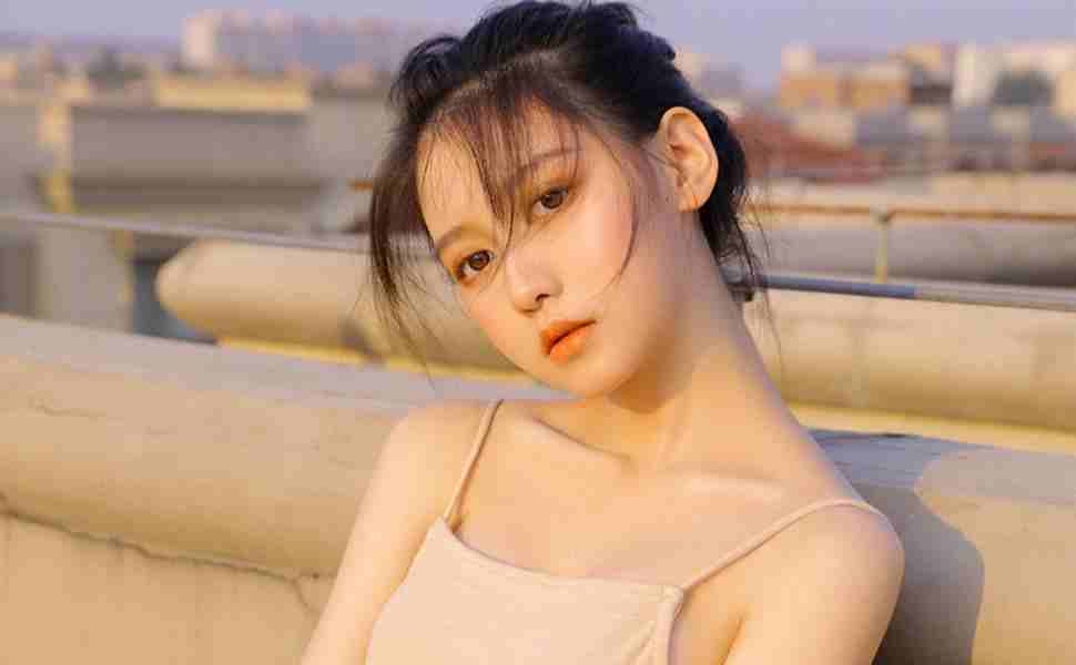 小说站群 内容一样